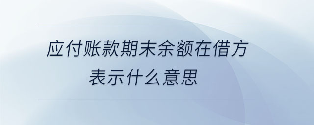 应付账款期末余额在借方表示什么意思