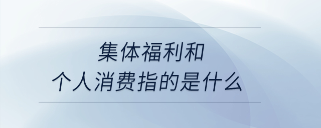 集体福利和个人消费指的是什么？