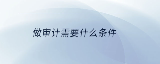 做审计需要什么条件