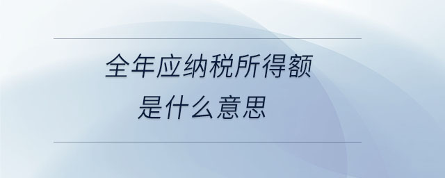 全年应纳税所得额是什么意思