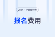 2024中级会计职称考试报名费？