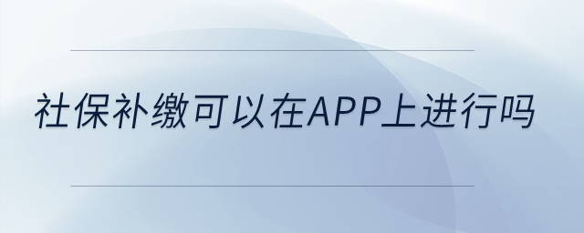 社保补缴可以在app上进行吗？