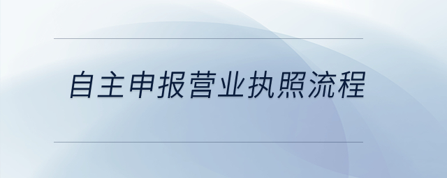 自主申报营业执照流程？