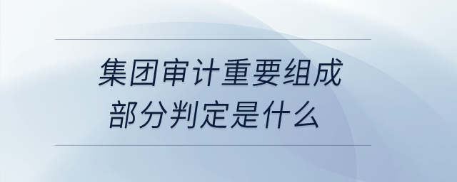 集团审计重要组成部分判定是什么？