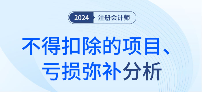 不得扣除的项目、亏损弥补-大