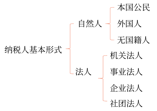 纳税人