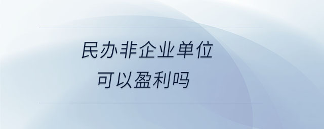 民办非企业单位可以盈利吗