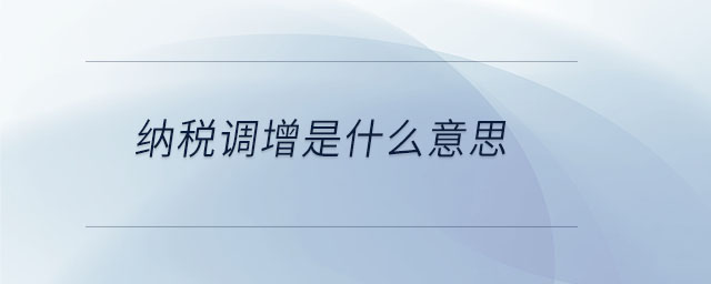 纳税调增是什么意思