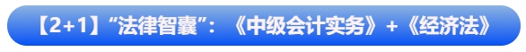 【2+1】“法律智囊”组合：《中级会计实务》+《经济法》