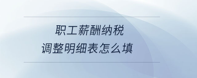 职工薪酬纳税调整明细表怎么填