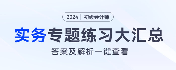 2024年《初级会计实务》专题练习大汇总，内附答案及解析！