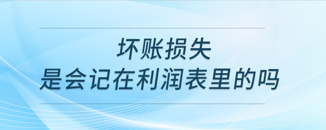 坏账损失是会记在利润表里的吗