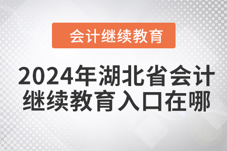 2024年湖北省会计人员继续教育东奥入口在哪？