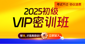 2025年初级会计vip