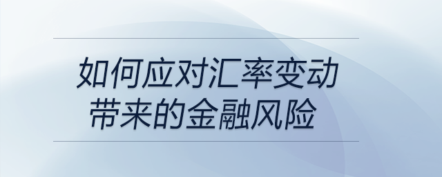 如何应对汇率变动带来的金融风险