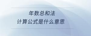 年数总和法计算公式是什么意思