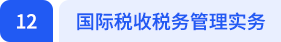 国际税收税务管理实务