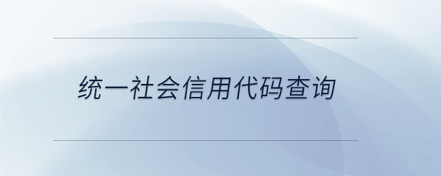 统一社会信用代码查询