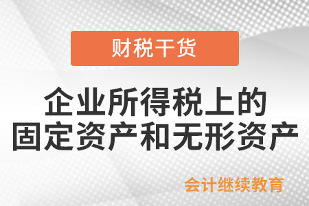 企业所得税上的固定资产和无形资产包括什么？