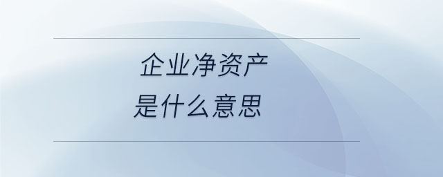 企业净资产是什么意思