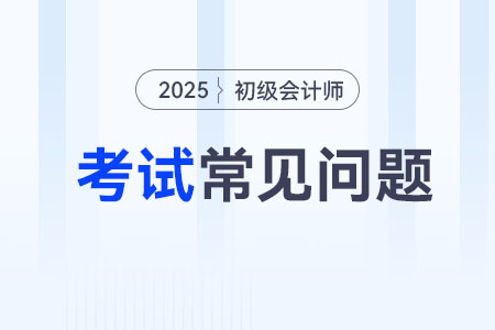 2025年初级会计考试评分标准是什么？