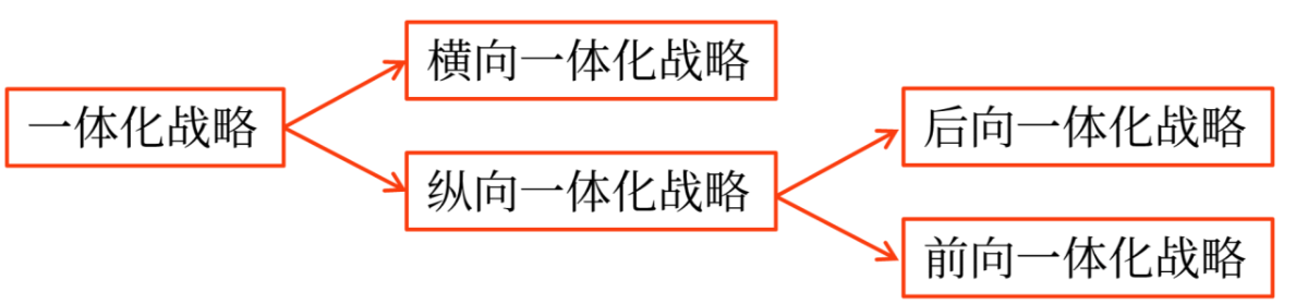 企业总体战略的类型_2025年《高级会计实务》预习知识点