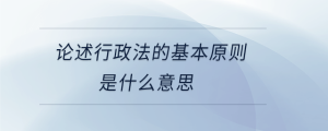 论述行政法的基本原则是什么意思