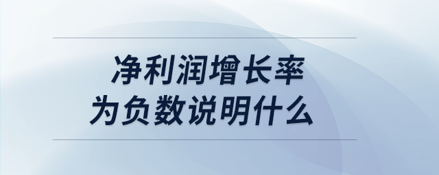 净利润增长率为负数说明什么