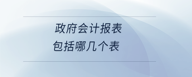 政府会计报表包括哪几个表