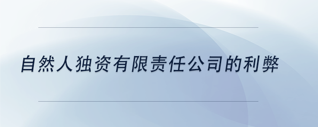 中级会计自然人独资有限责任公司的利弊