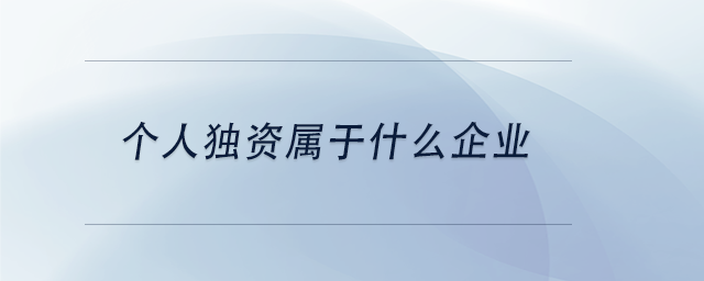 中级会计个人独资属于什么企业