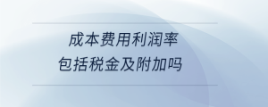 成本费用利润率包括税金及附加吗