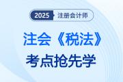 2025年注会《税法》抢学考点汇总，新考季预习打卡走起！