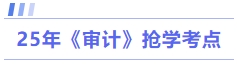 25年审计抢学考点