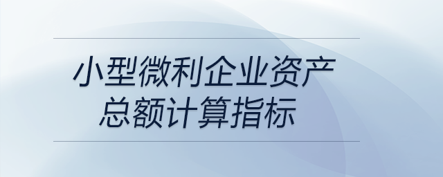 小型微利企业资产总额计算指标