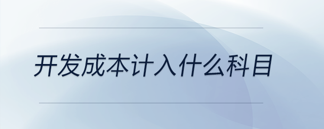 开发成本计入什么科目