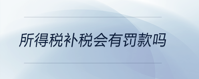 所得税补税会有罚款吗