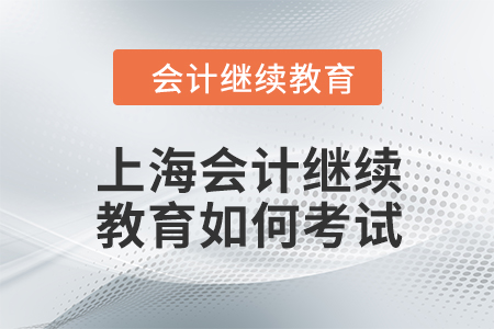 2024年上海东奥会计继续教育如何考试？