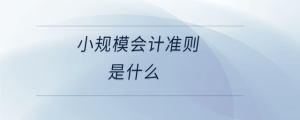 小规模会计准则是什么