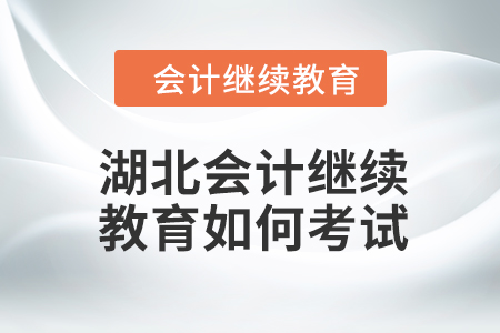 2024年湖北会计人员继续教育如何考试？