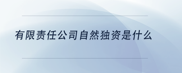 中级会计有限责任公司自然独资是什么