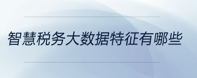 智慧税务大数据特征有哪些