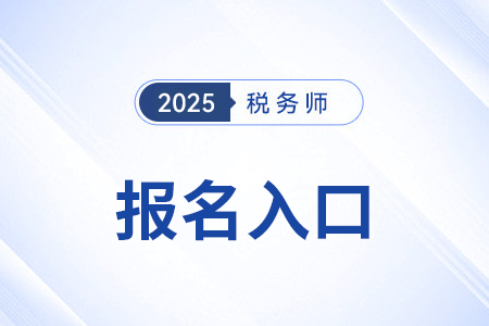 税务师登录入口是什么，25年开通了吗？