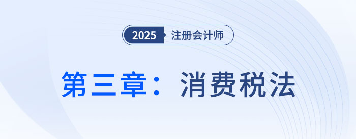 第三章消费税法_2025年注会税法抢学记忆树