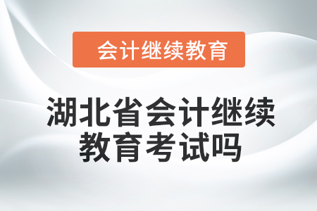 2024年湖北省会计人员继续教育考试吗？