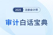 注册会计师《审计》白话宝典！突破专业术语难关！