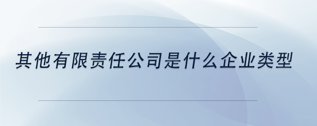 中级会计其他有限责任公司是什么企业类型