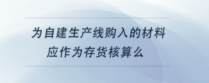 为自建生产线购入的材料应作为存货核算么