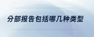 分部报告包括哪几种类型