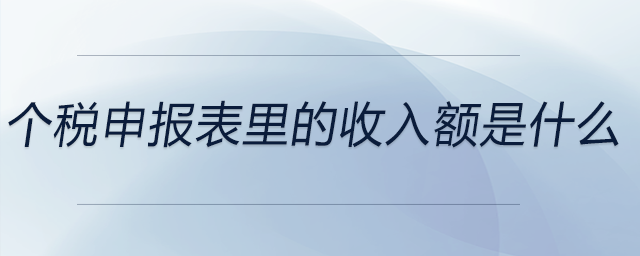 个税申报表里的收入额是什么